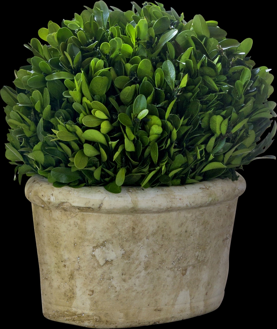 Forsythia Green Vase - Thumbnail - Image 1