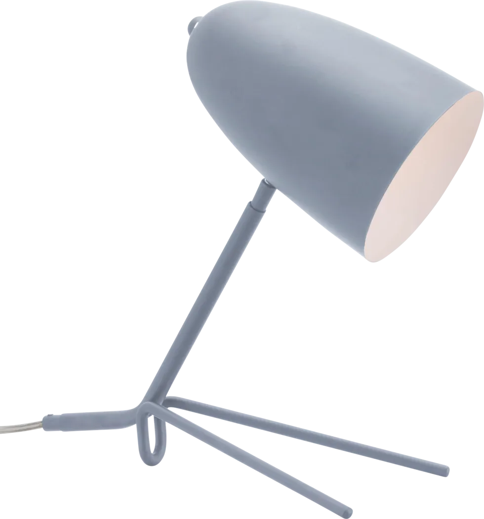 Foxhall Park Gray Lamp - Thumbnail - Image 1