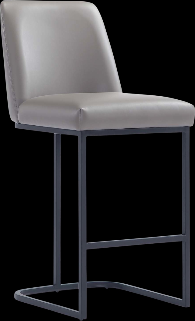 Foxiana Gray Counter Stool - Thumbnail - Image 1