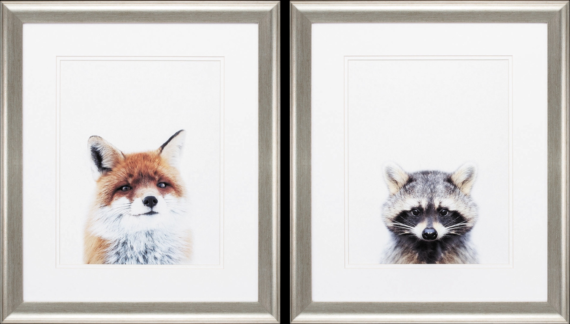 Foxy Racoon Set of 2 Artwork - Thumbnail - Image 1