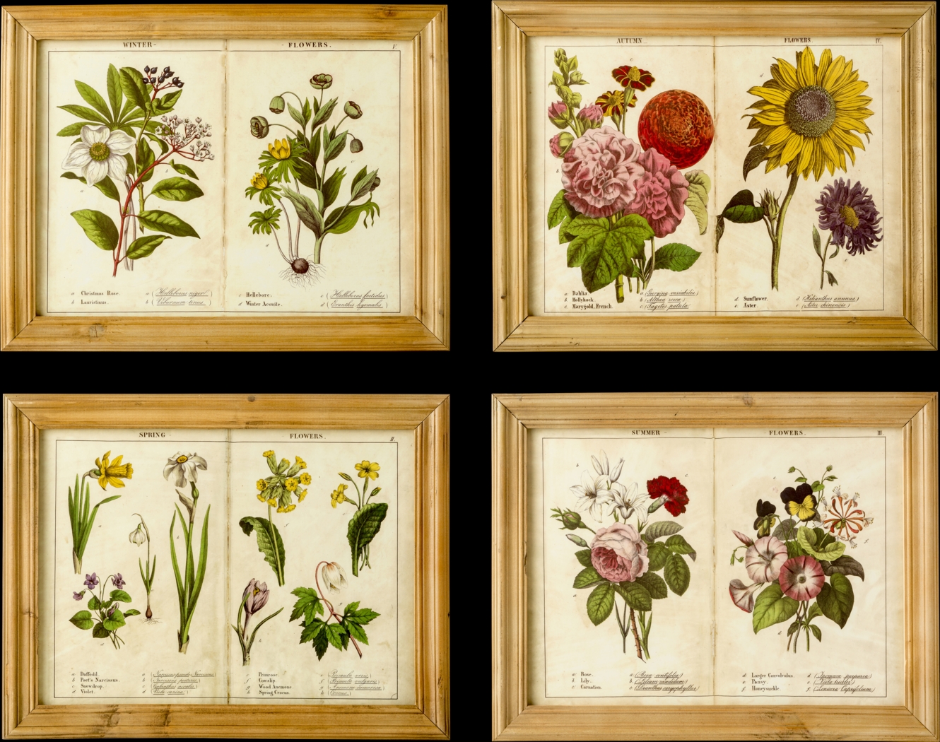 Framed Seasons Set of 4 Artwork - Thumbnail - Image 1