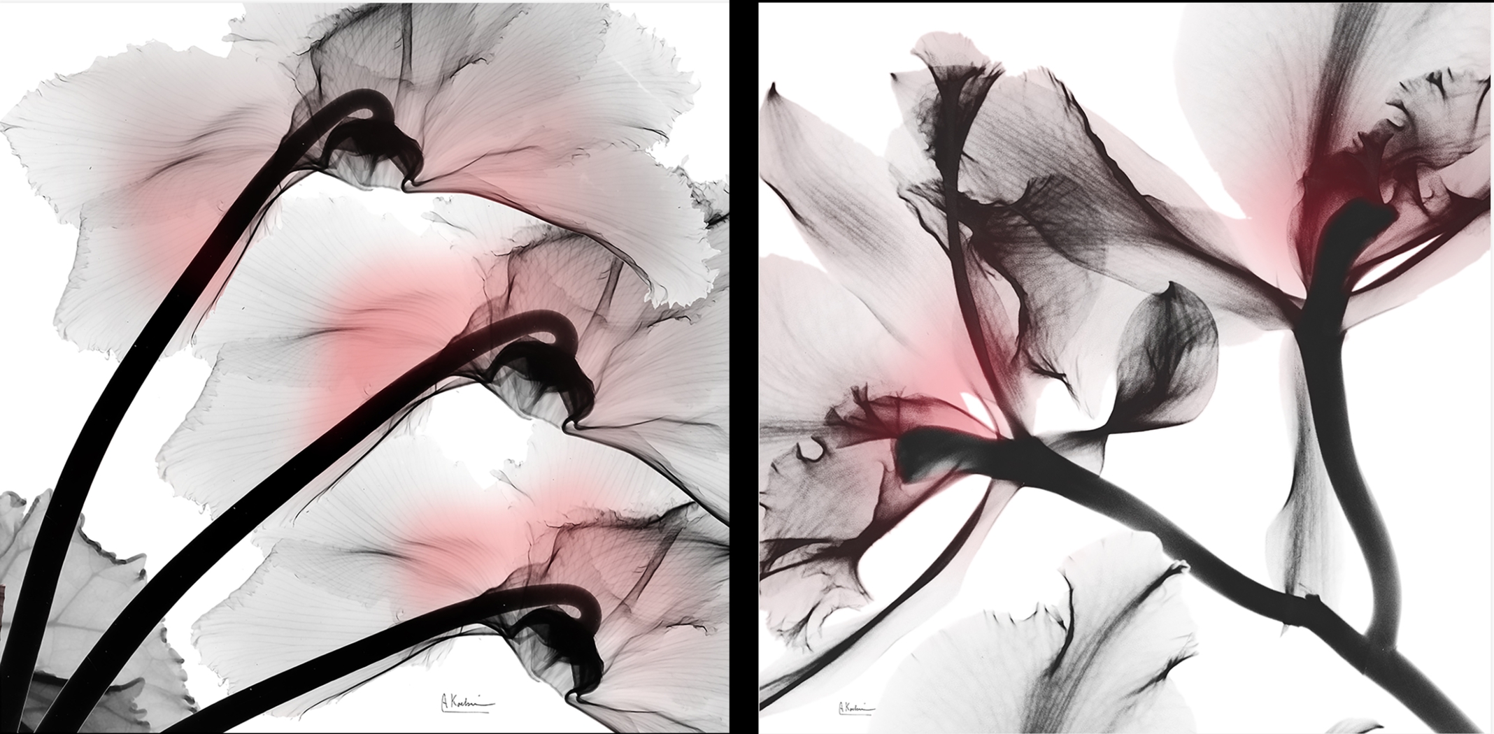 Frascati Black Artwork, Set of 2 - Thumbnail - Image 1