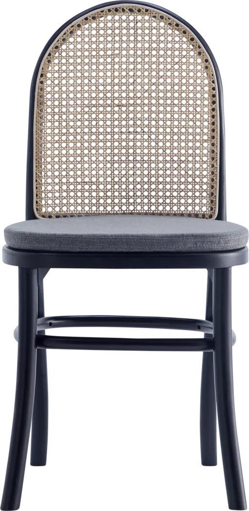 Fruitser Black Side Chair, Set of 2 - Thumbnail - Image 6