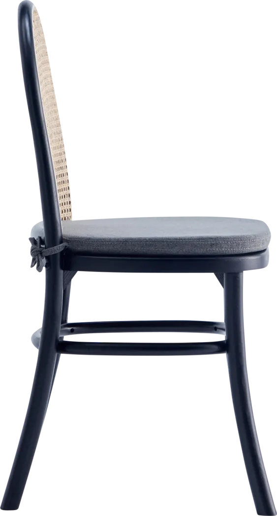 Fruitser Black Side Chair, Set of 2 - Thumbnail - Image 8