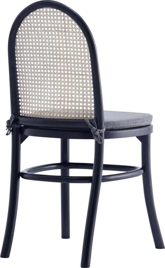 Fruitser Black Side Chair, Set of 2 - Thumbnail - Image 9