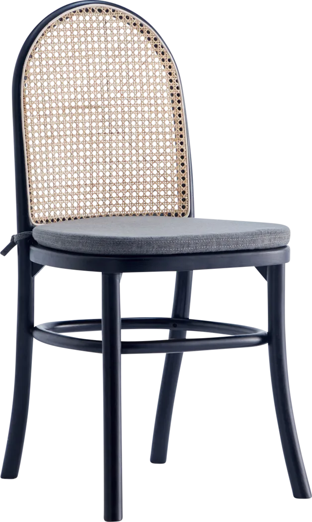 Fruitser Black Side Chair, Set of 2 - Thumbnail - Image 10