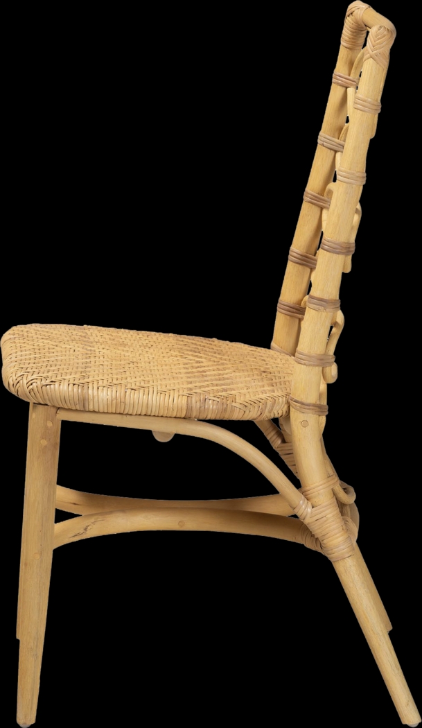 Gasche Natural Side Chair - Thumbnail - Image 5