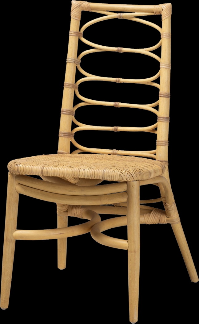 Gasche Natural Side Chair - Thumbnail - Image 1