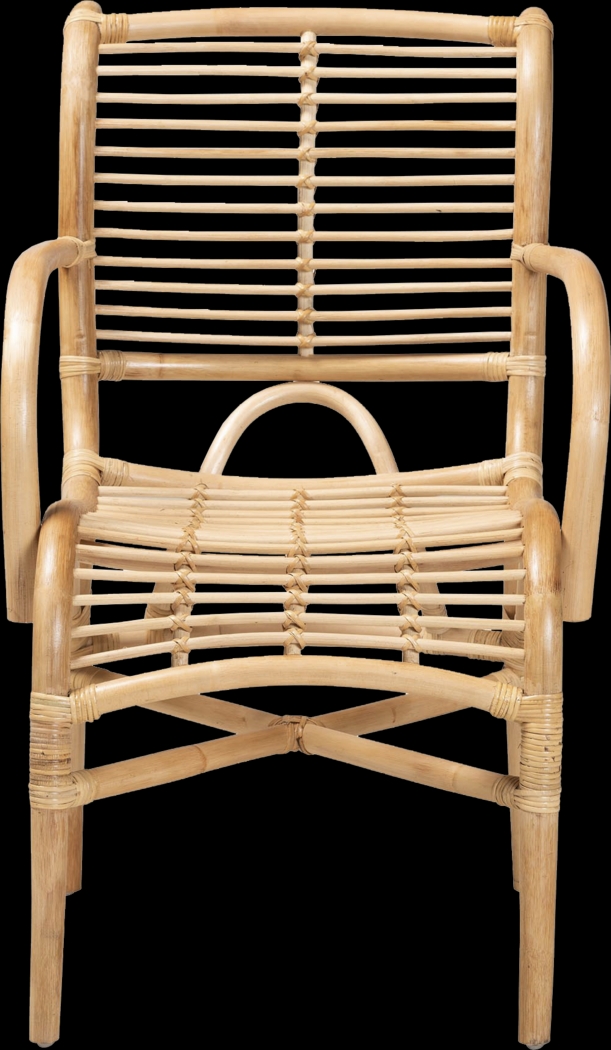 Gerlaugh Natural Arm Chair - Thumbnail - Image 4