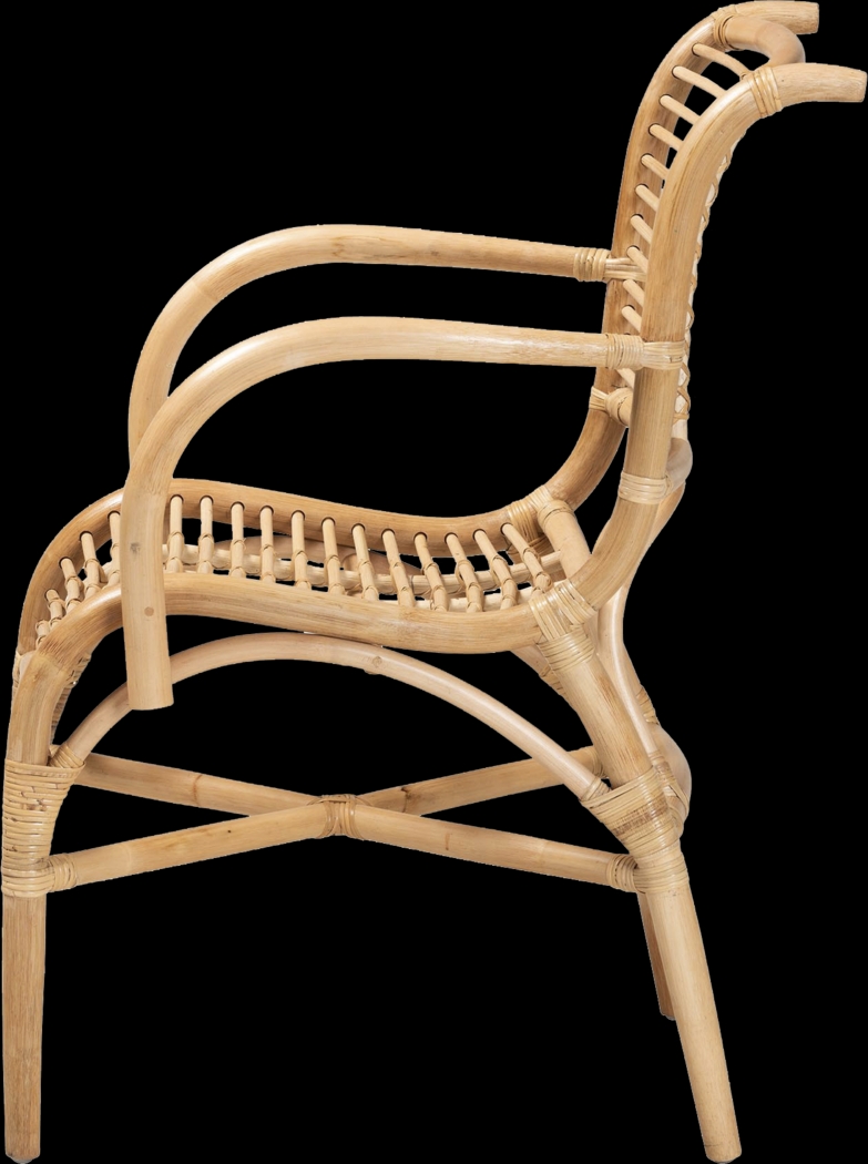 Gerlaugh Natural Arm Chair - Thumbnail - Image 5