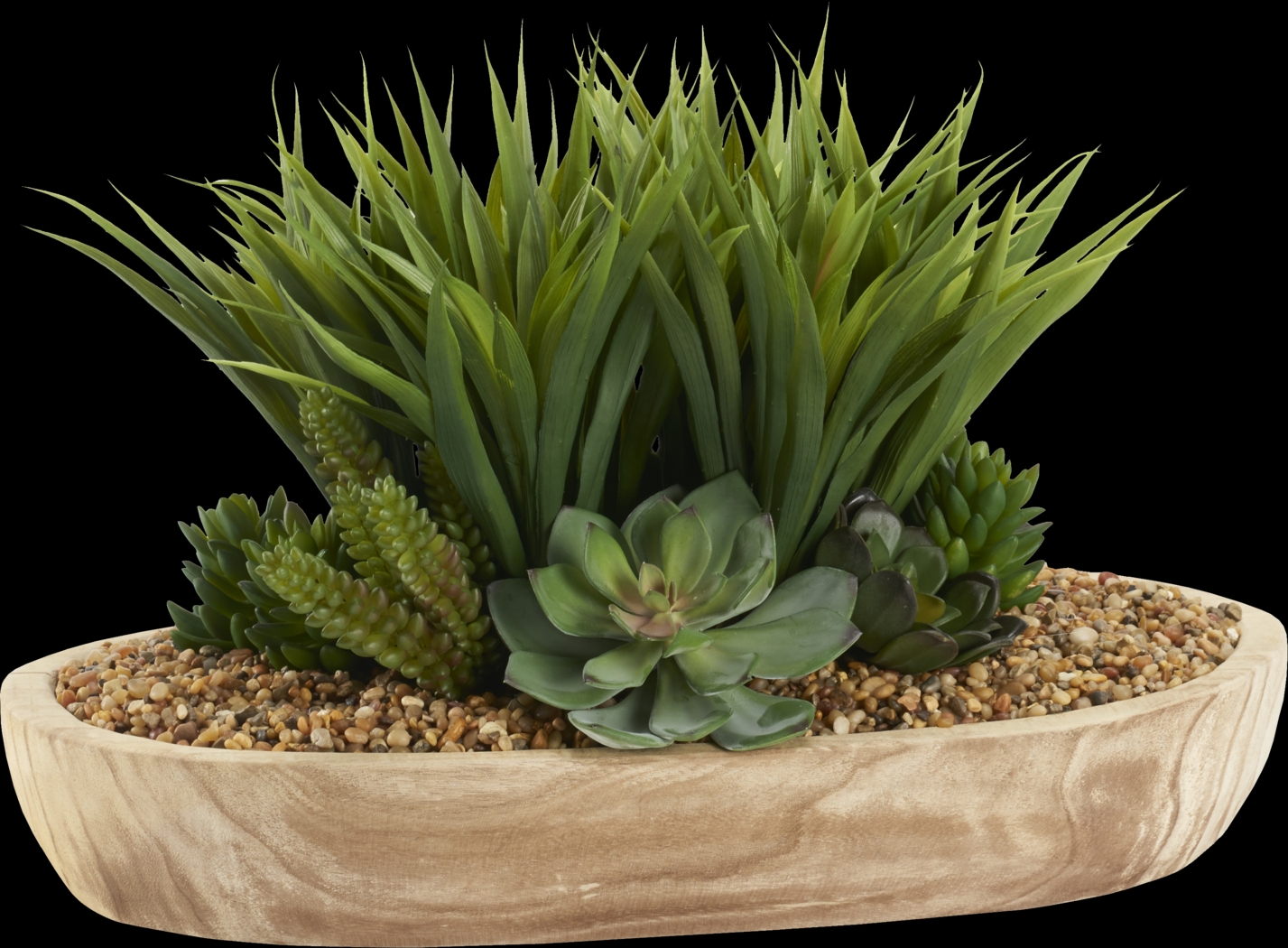 Gisborne Brown Silk Plant - Thumbnail - Image 1