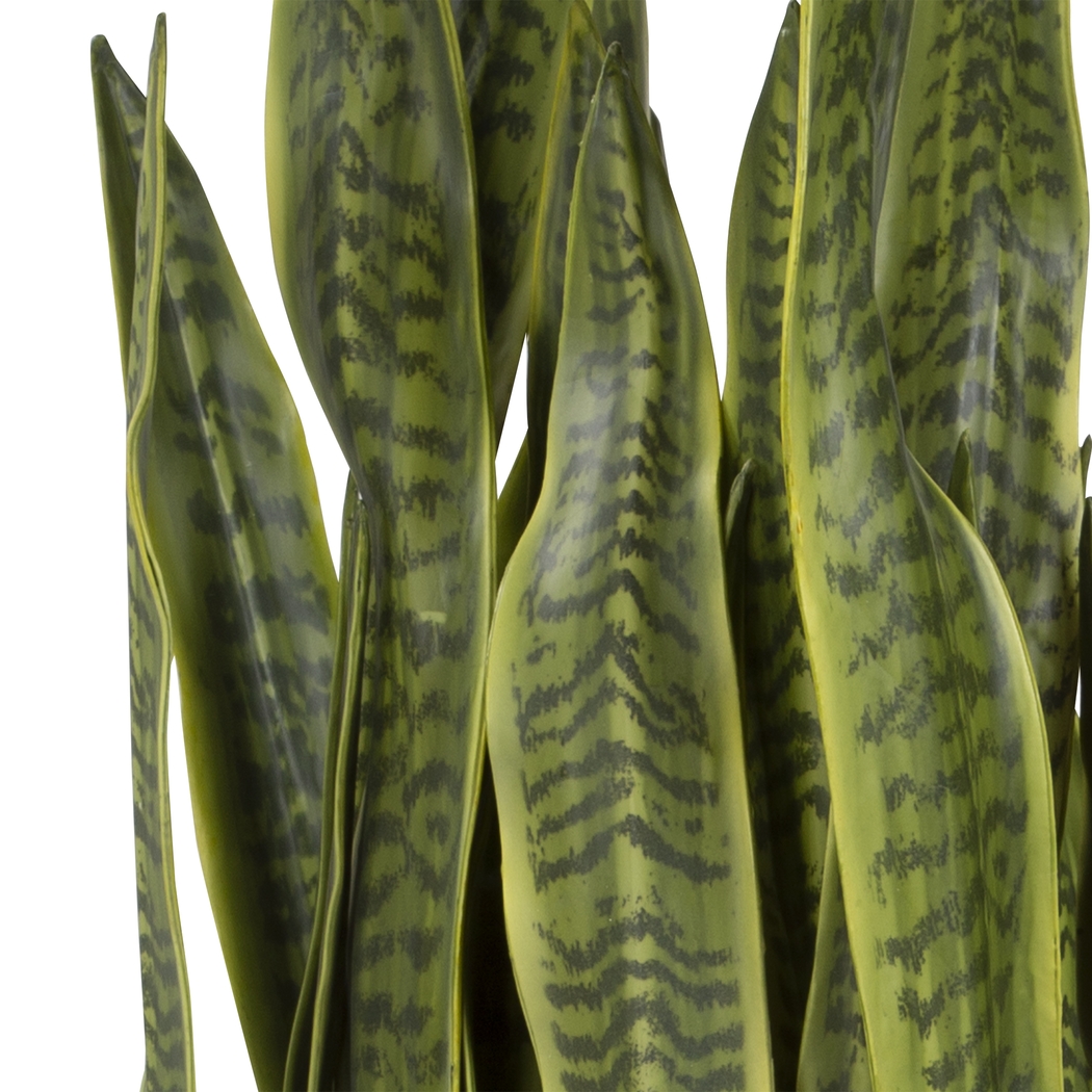 Gloriadale Green Faux Snake Plant - Thumbnail - Image 3