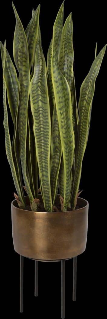 Gloriadale Green Faux Snake Plant - Thumbnail - Image 1