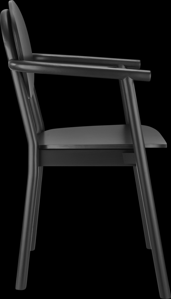 Goldenrode Black Arm Chair - Thumbnail - Image 4