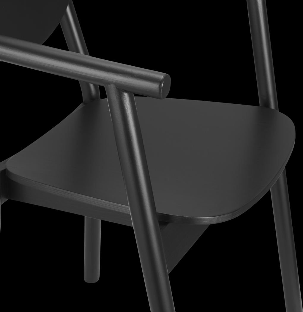 Goldenrode Black Arm Chair - Thumbnail - Image 7