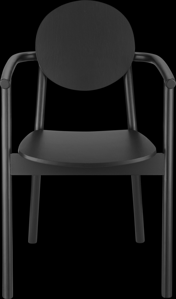 Goldenrode Black Arm Chair - Thumbnail - Image 1