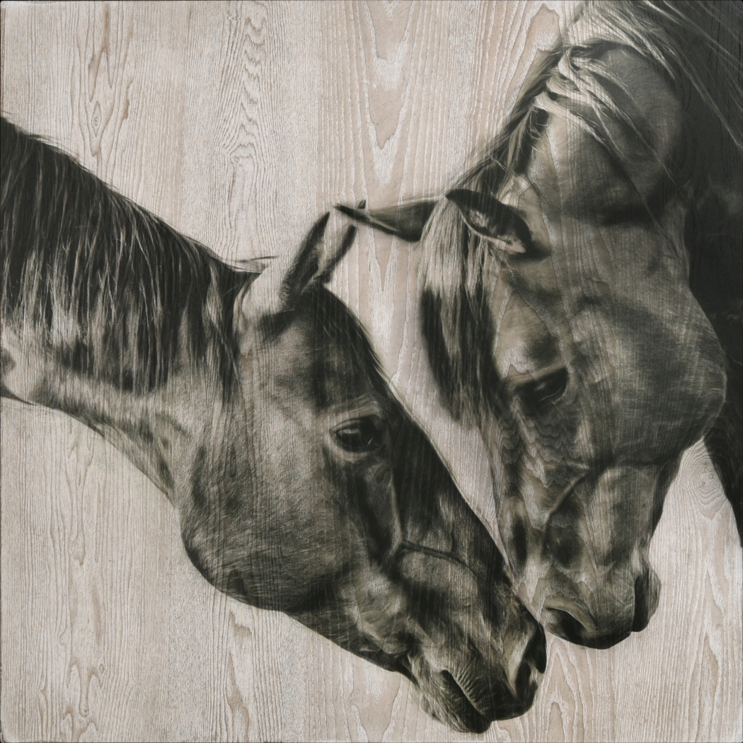 Goleys Multi Artwork - Thumbnail - Image 1