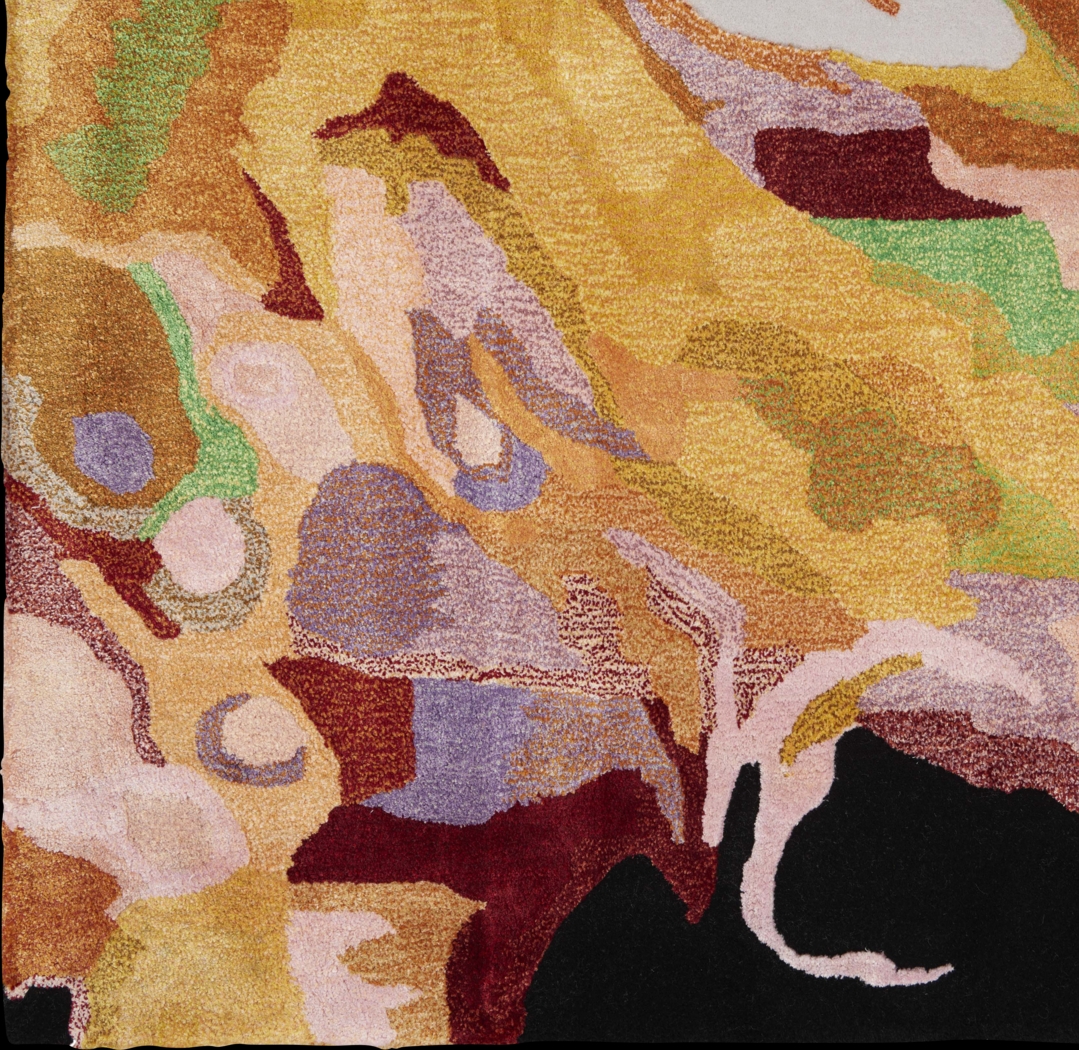 Gonax Multi 7'9 x 9'9 Rug - Thumbnail - Image 5