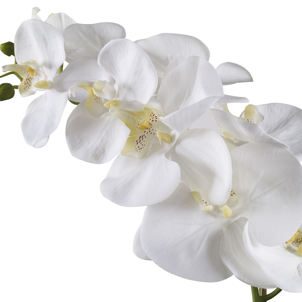 Gosson White Faux Orchid - Thumbnail - Image 3