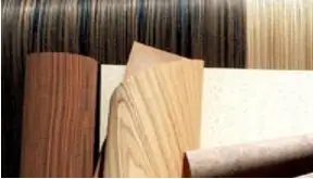 Samples of Veneers