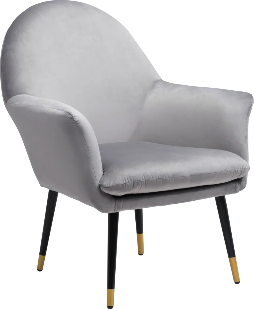 Guillemot Gray Accent Chair - Thumbnail - Image 1