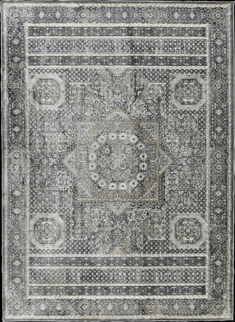 Haertley Charcoal 9'3 x 12'3 Rug - Thumbnail - Image 1