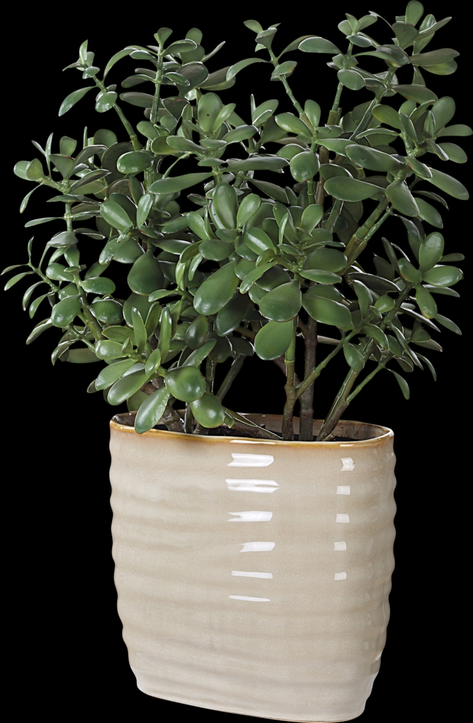 Hallo Beige Silk Plant - Thumbnail - Image 3