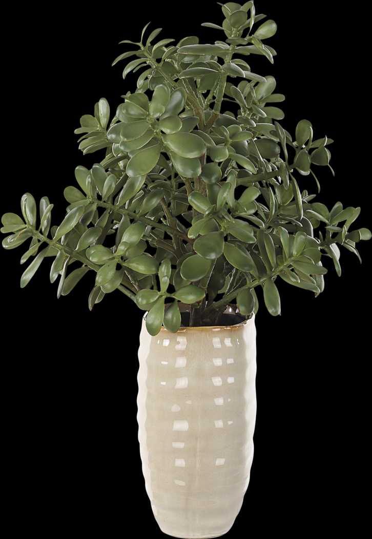 Hallo Beige Silk Plant - Thumbnail - Image 4