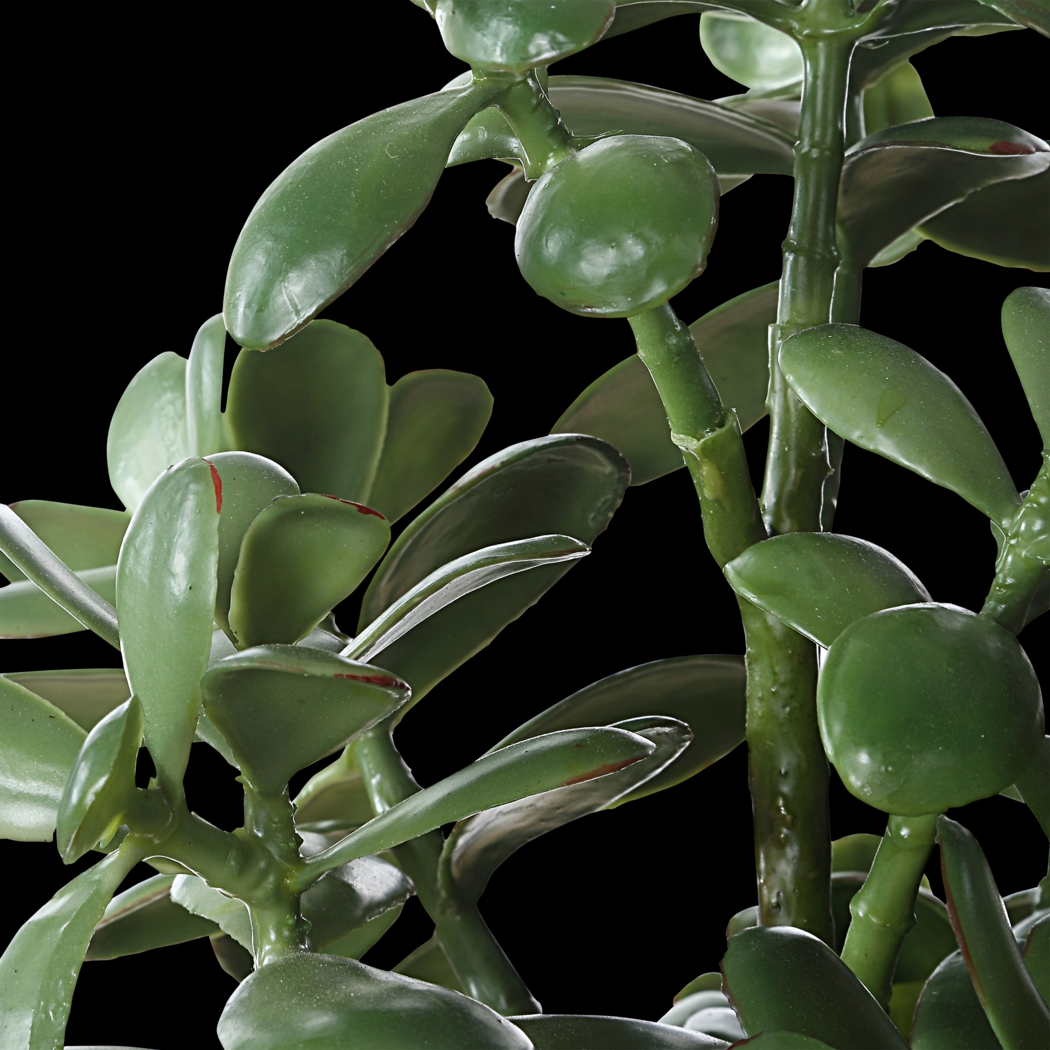 Hallo Beige Silk Plant - Thumbnail - Image 5