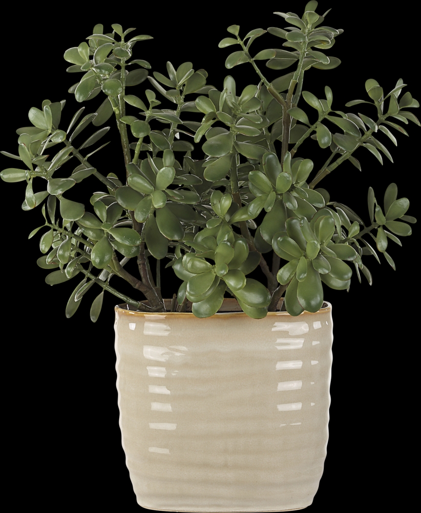 Hallo Beige Silk Plant - Thumbnail - Image 1