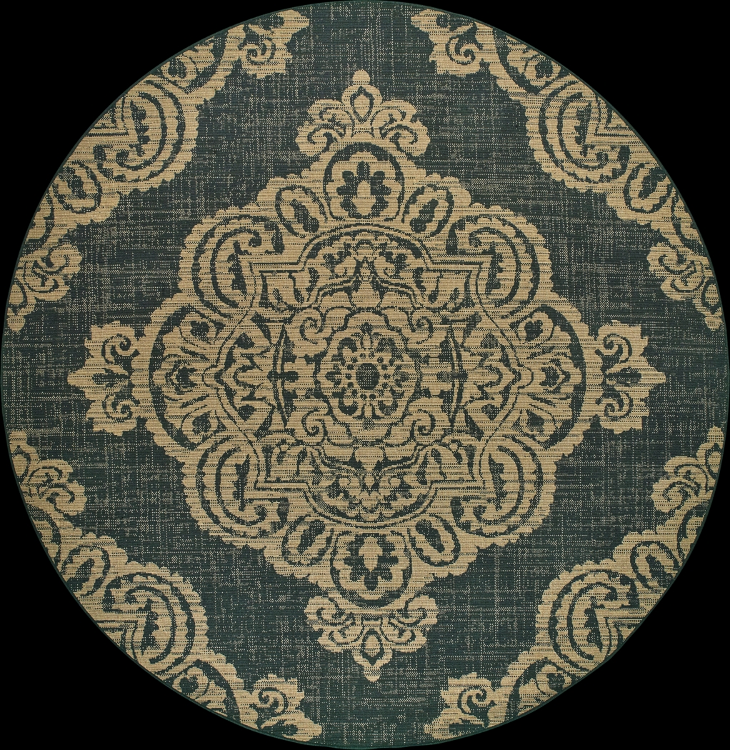 Hamiller Black 7'10 Round Indoor/Outdoor Rug - Thumbnail - Image 1