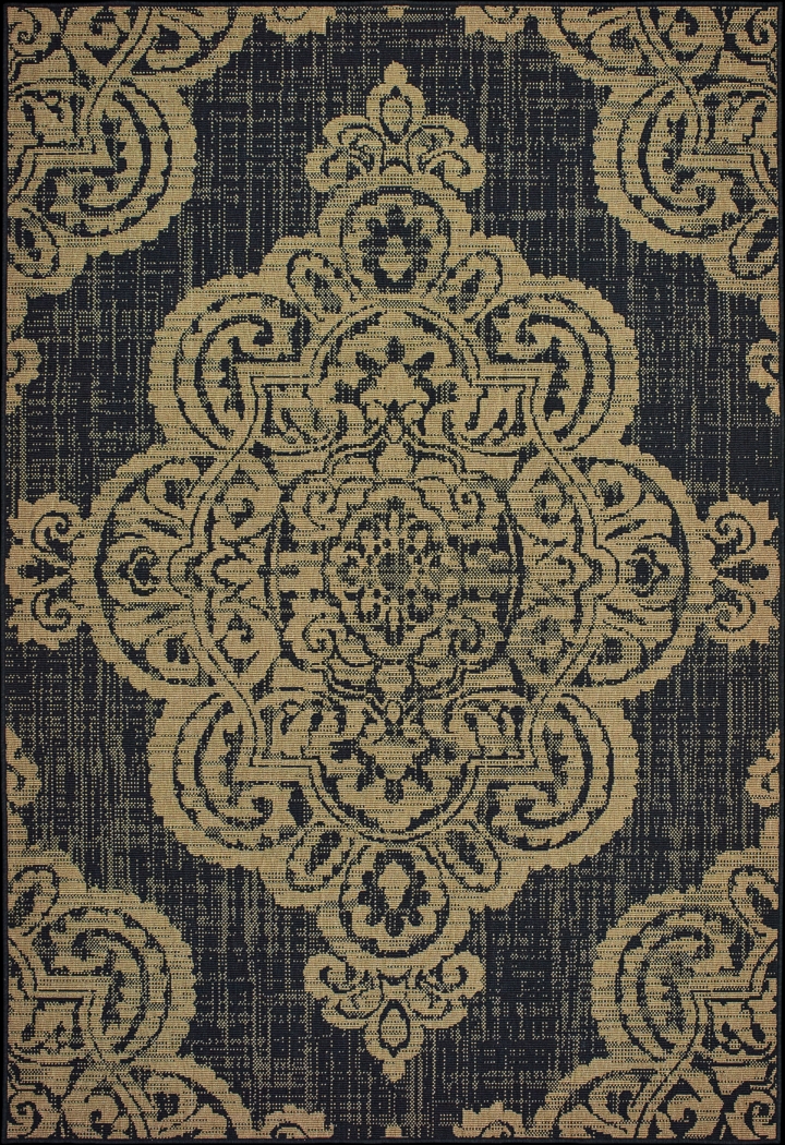 Hamiller Black 7'10 x 10'10 Indoor/Outdoor Rug - Thumbnail - Image 1