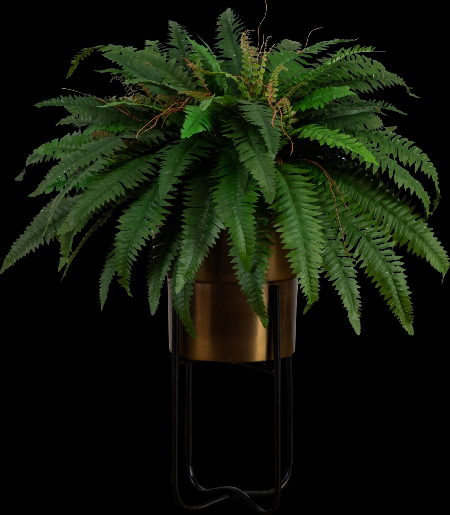 Hanabeck II Green Silk Plant - Thumbnail - Image 1