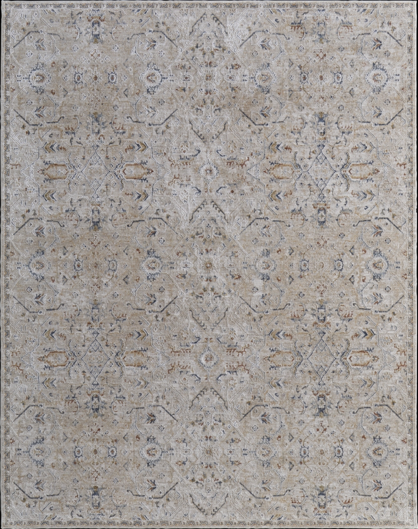 Hardara Taupe 7'10 x 10'3 Rug - Thumbnail - Image 1