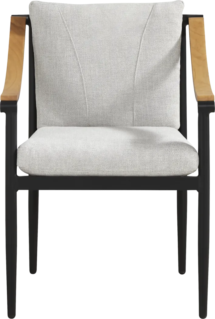 Harlowe Black Outdoor Arm Chair with Dove Cushions - Thumbnail - Image 3