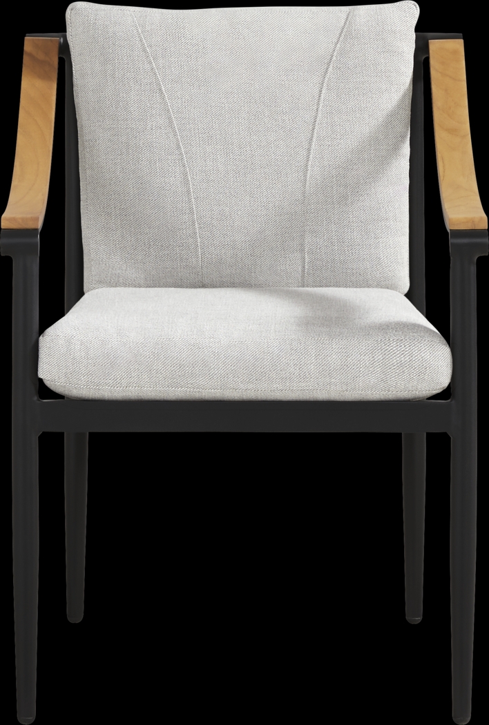 Harlowe Black 5 Pc Outdoor Rectangle Dining Set with Dove Cushions - Thumbnail - Image 4