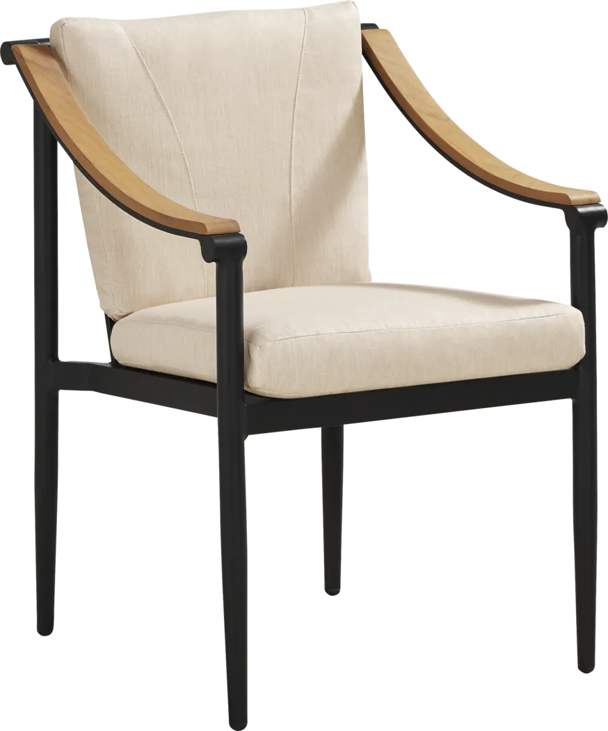 Harlowe Black 5 Pc Outdoor Rectangle Dining Set with Flax Cushions - Thumbnail - Image 3