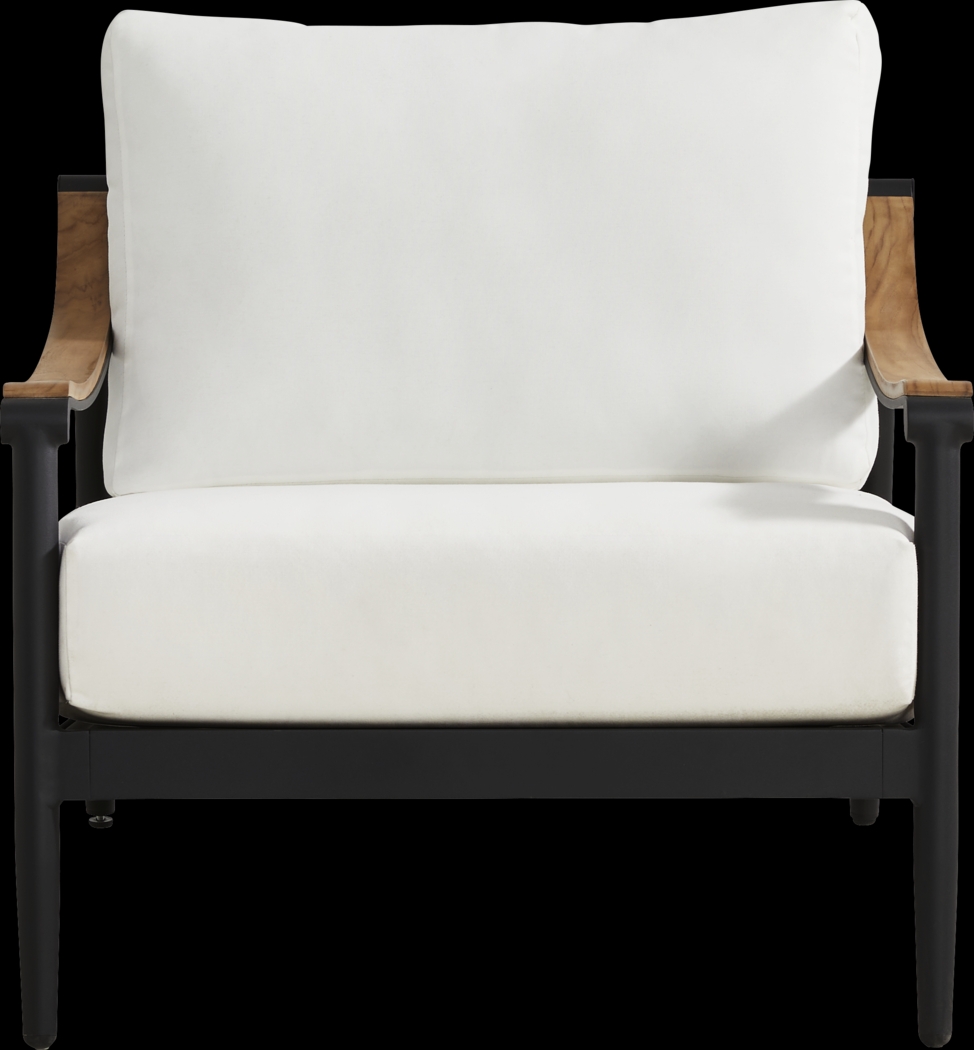 Harlowe Black Outdoor Club Chair with White Cushions - Thumbnail - Image 3