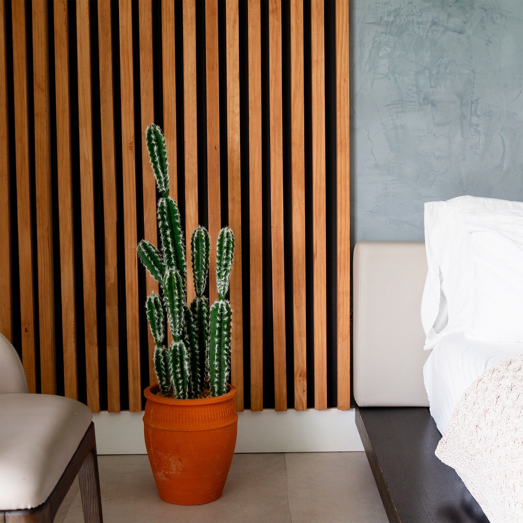 Hartranft Green Silk Plant - Thumbnail - Image 2