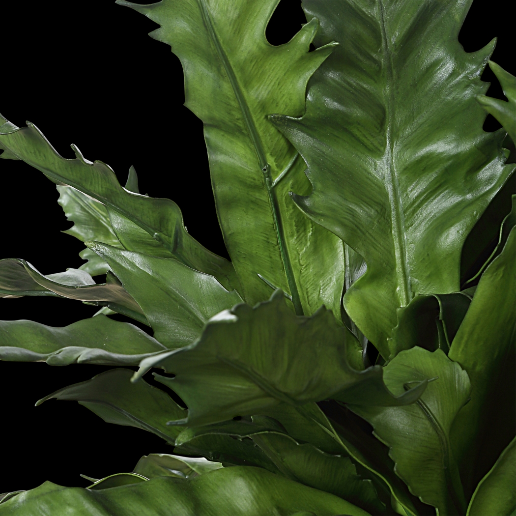 Havane Tan Silk Plant - Thumbnail - Image 5