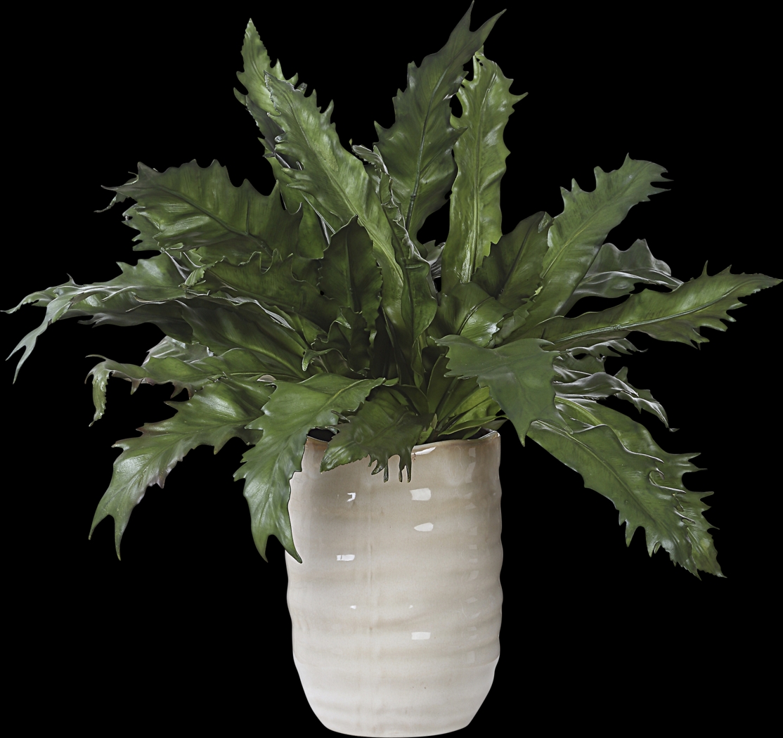 Havane Tan Silk Plant - Thumbnail - Image 6