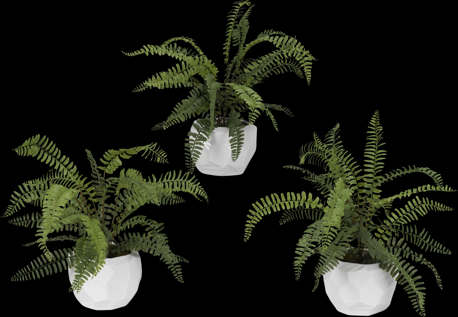 Haylee Green Silk Plant, Set of 3 - Thumbnail - Image 1