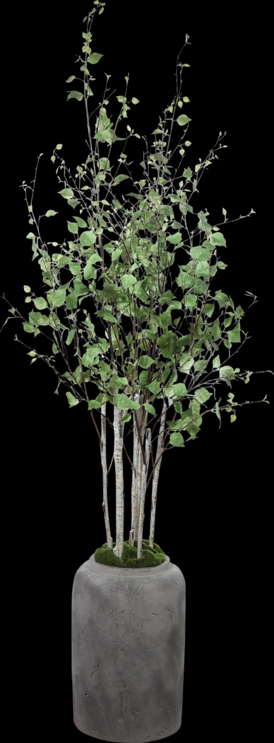 Hayles Green Faux River Birch - Thumbnail - Image 1