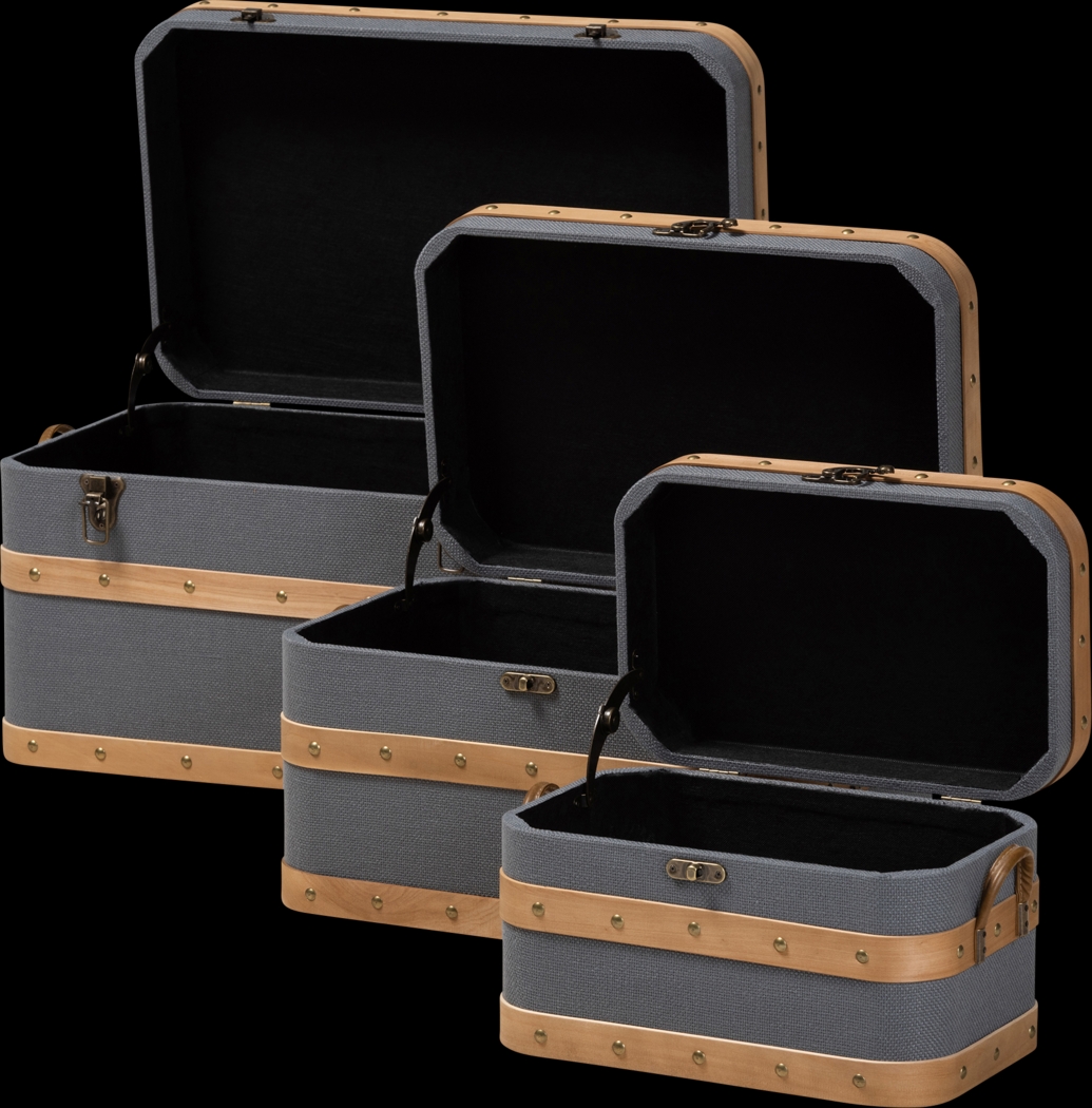 Hazeldell Gray 3 Pc Trunk Set - Thumbnail - Image 2
