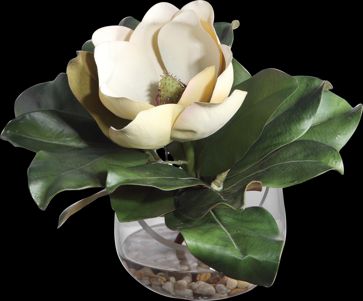 Hazeur White Silk Magnolia - Thumbnail - Image 1
