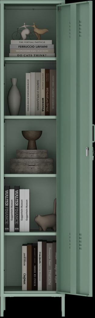 Hebnigan Green Storage Cabinet - Thumbnail - Image 6