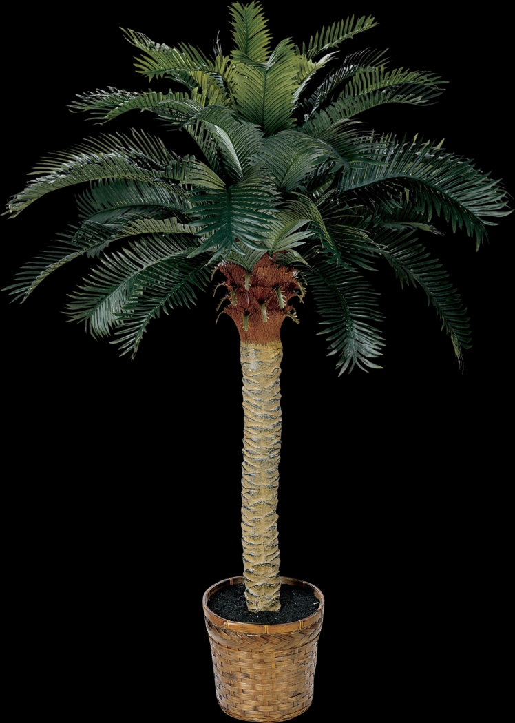 Hendrik Green Palm Silk Tree - Thumbnail - Image 1