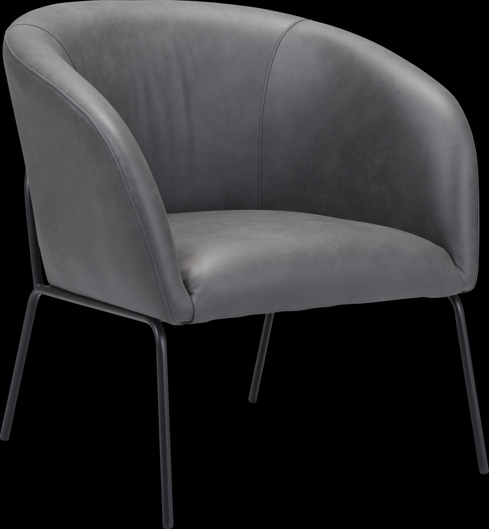 Hesterburg Gray Accent Chair - Thumbnail - Image 1