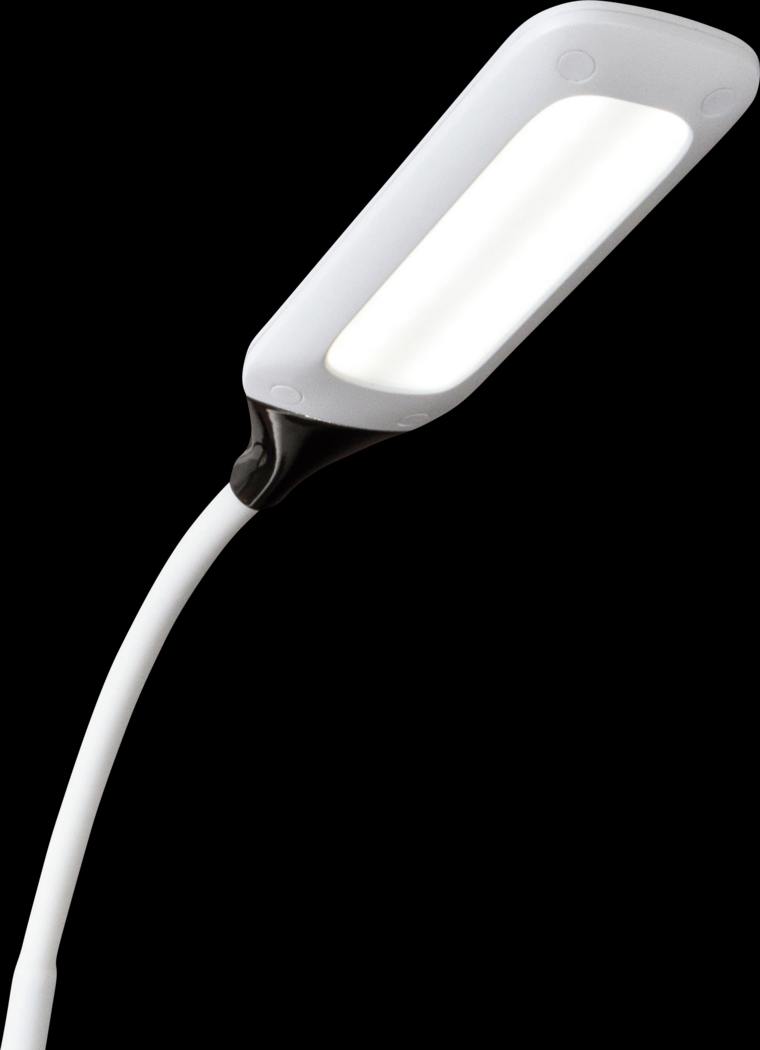 Holly Shores White Lamp - Thumbnail - Image 4