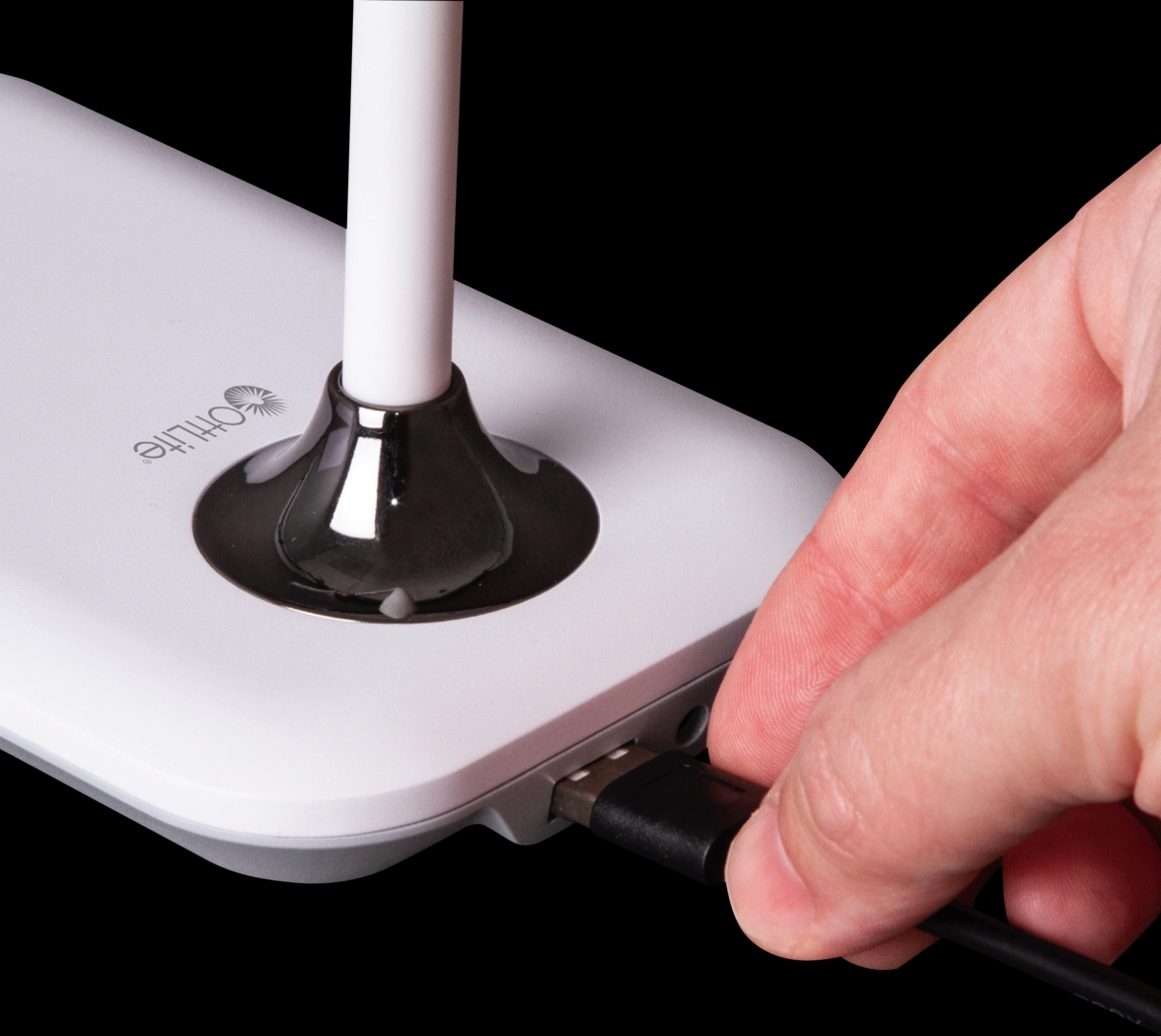 Holly Shores White Lamp - Thumbnail - Image 7